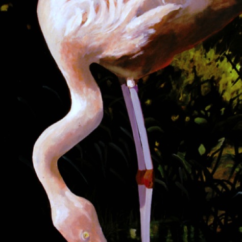 Flamingo
40x30
FRAMED
